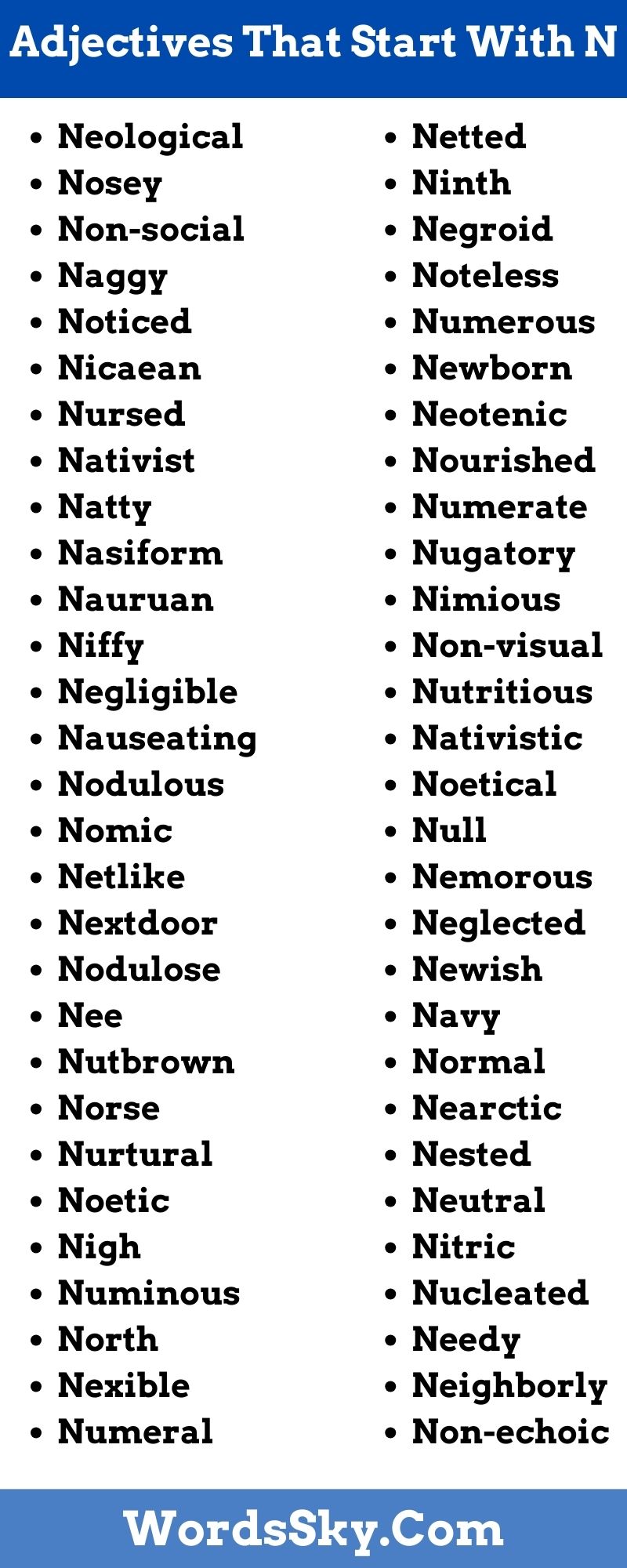 Adjectives That Start With N